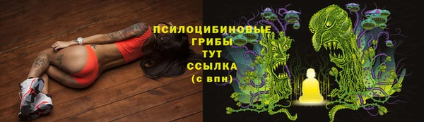 mdma Горнозаводск