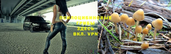 мет Горняк