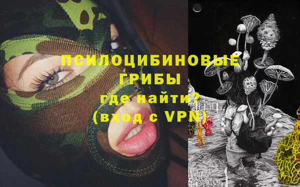 дживик Горно-Алтайск