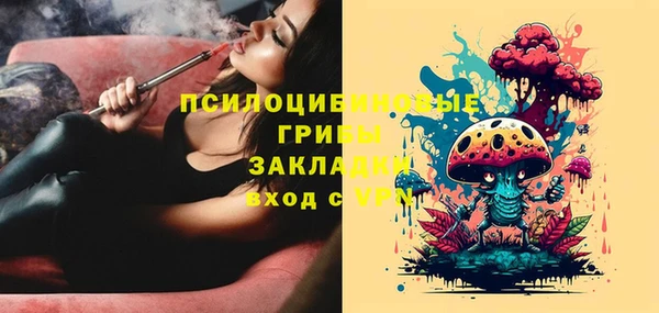 дживик Горно-Алтайск